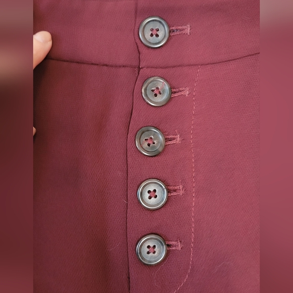 Anthropologie - Burgundy Pants - Size 12 - Picture 4 of 5